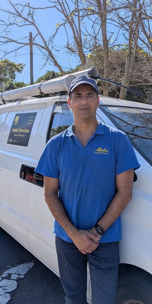 Shahin-HawkServices